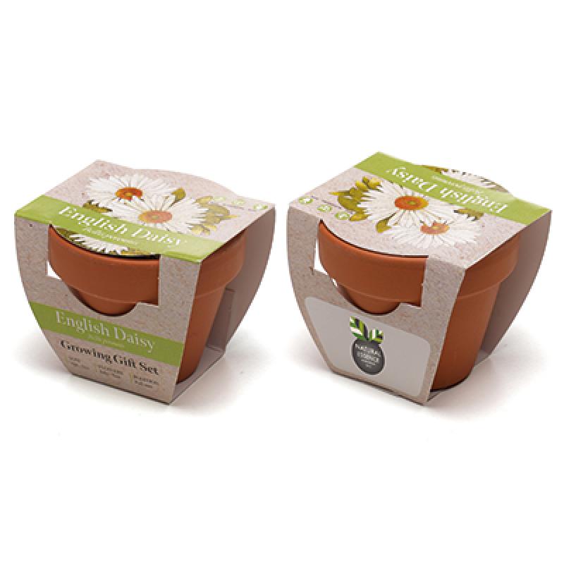 Image of Standard Growing Gift